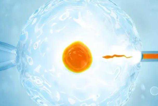 太原代孕安全么 太原做供卵试管的成功率 ‘老大彩超单和老二内容一样都是女